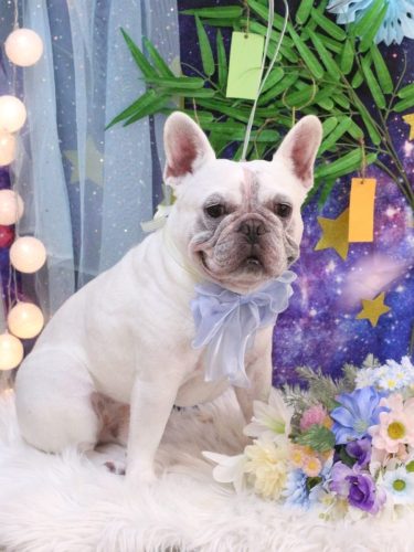 20250702ブーくん